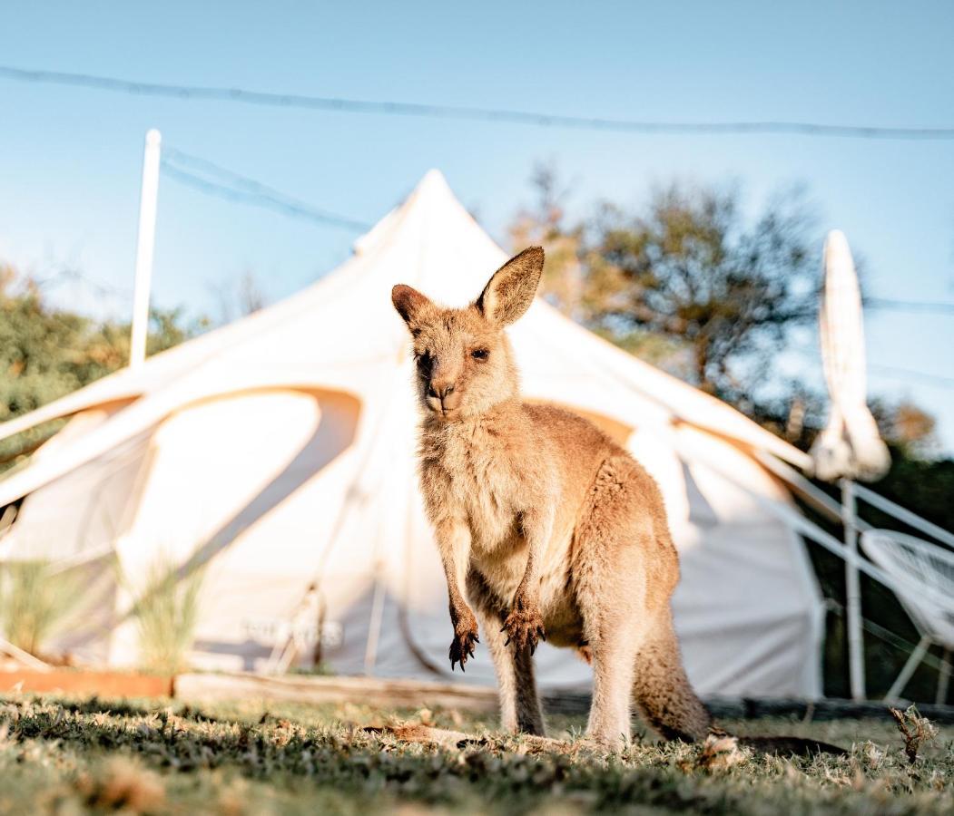 The Cove Jervis Bay Villa Bagian luar foto