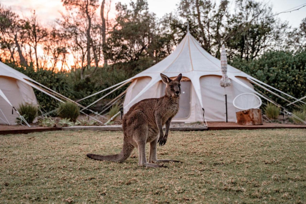 The Cove Jervis Bay Villa Bagian luar foto